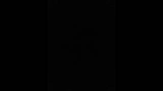 I Got A Dream To Chase - WizO