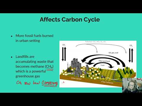 Miceli APES Sustainabiltiy 5 10 5 11 5 13