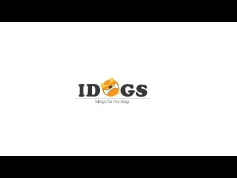 Idogs : Why to take care of street animals around us