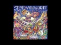 Steve Winwood - Take It To The Final Hour
