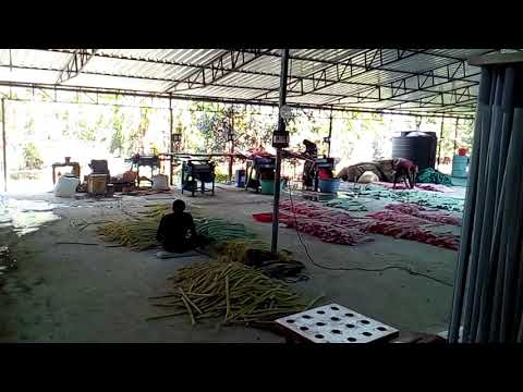 Rubber Band Dipping Machine