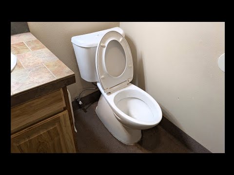 365. Weird Caroma Toilet