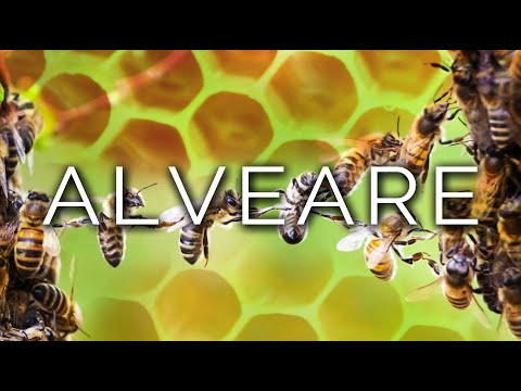 908-IT Cristina, ALVEARE - Ipnosi Esoterica ∞ Lucio Carsi