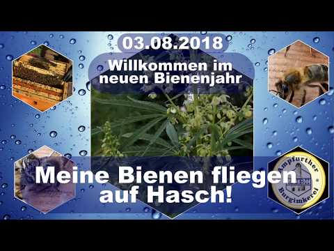 Entdeckungen 03.08.2018 #Bee #Dad zeigt #Imkerei und #Bienen