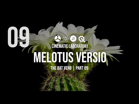 Melotus Versio | The Bat Verb | Part 09