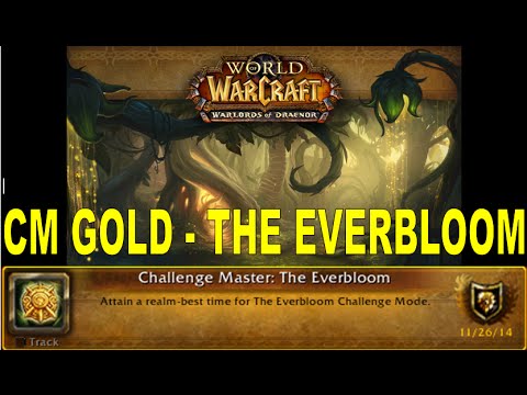 CM GOLD, The Everbloom | Team CM