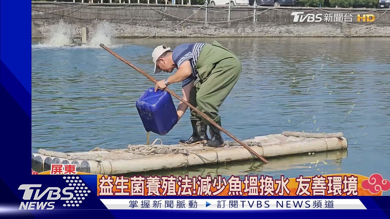 放棄竹科高薪！　他返鄉養殖「寶石魚」採益生菌友善環境