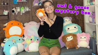 owl and goose mystery box!!
