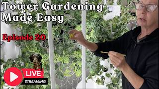 Tower Gardening Made Easy is live! Camera Update- #towergarden tour and more #hydroponicgardening