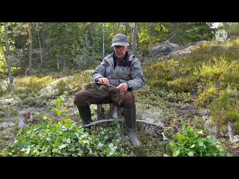 How To Make Traditional Finnish Sauna Whisk