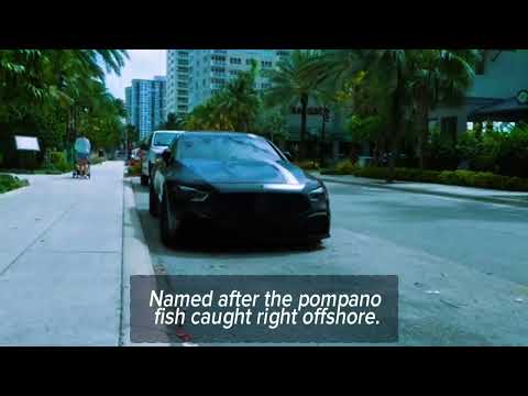 Beach Vibes or Horseback Rides? Welcome to Pompano & Davie, FL