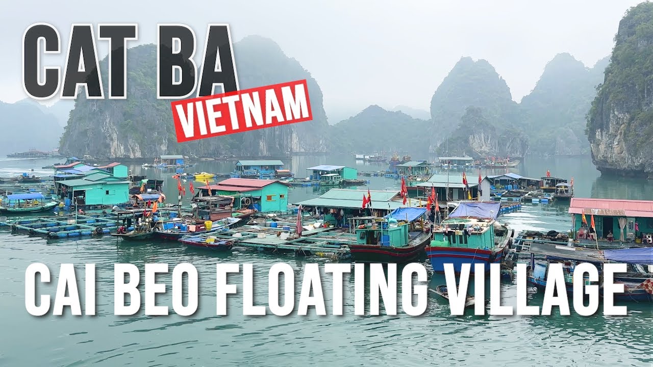 Discover a captivating glimpse of Cai Beo Floating Village.
