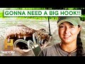 Swamp People Catching GIANT GATORS With A Special Method S16