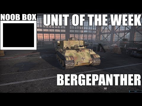 Unit of the Week #236 (Bergepanther)