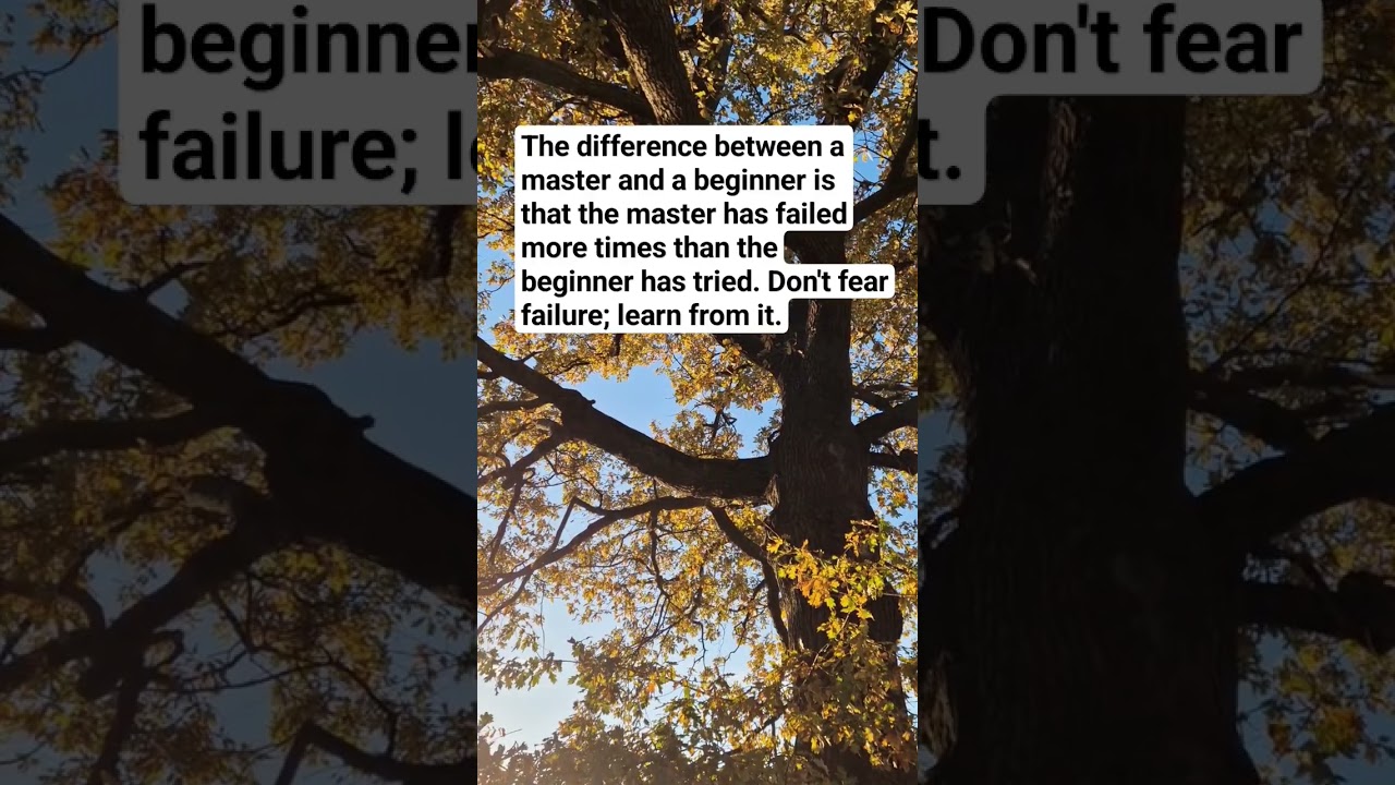 Awesome karate quotes