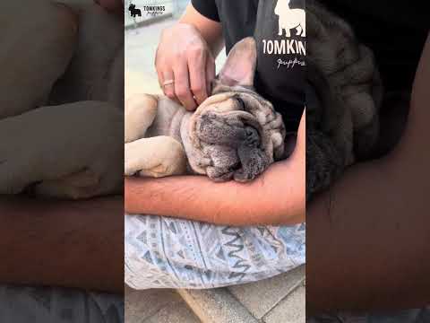 Video 2