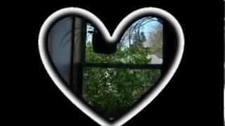 If My Heart Had Windows