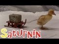 Saturnin Le Général Hiver