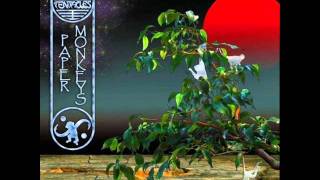 Ozric Tentacles - Plowm