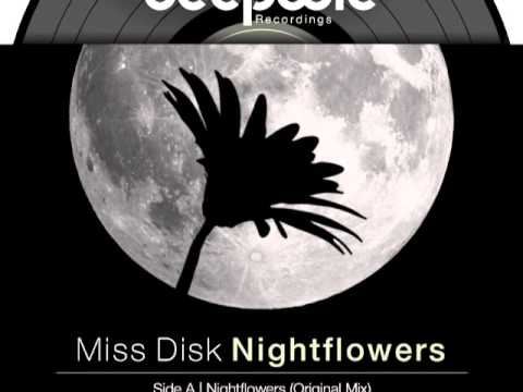 Miss Disk - Nightflowers