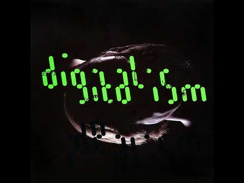 DIGITALISM – Idealism – 2007 – Full double vinyl album