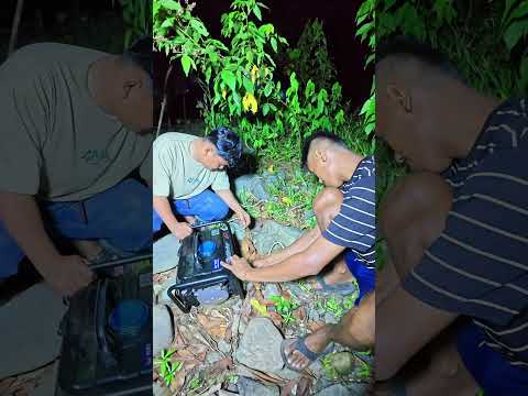 Pasang sinyal di tengah hutan