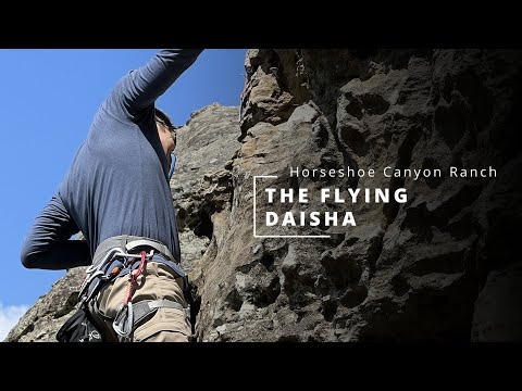 Horseshoe - The Flying Daisha