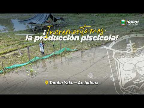 PREFECTURA DE NAPO - TAMBA YAKU