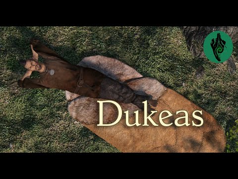 DUKEAS | Skyrim Wandering - Bosmer Character Build