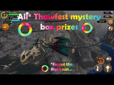 All Thawfest mystery box prizes (except the flight suit)
