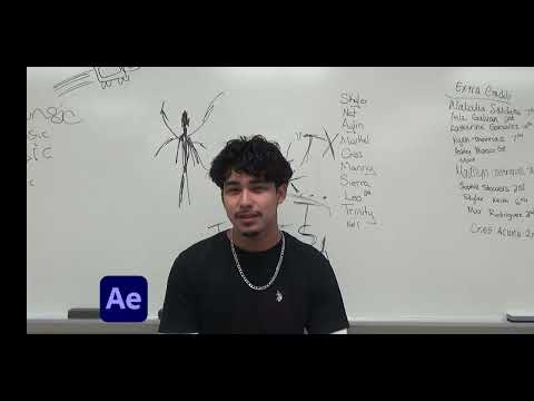 The End of The Punchline