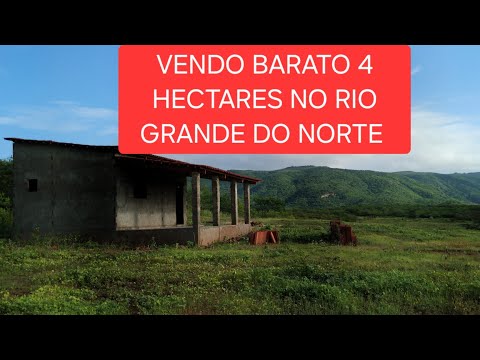 Oportunidade Sitio barato 4 hectares 84994226048 são vicente RN