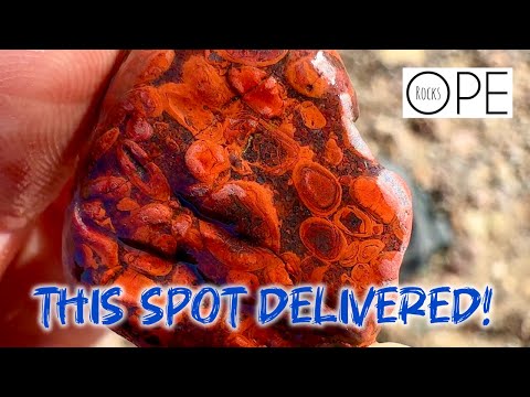 We Almost Skipped This Western Wisconsin Spot… Big Mistake