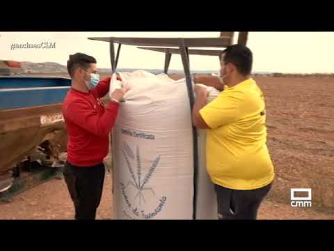 Siembra de cebada en Daimiel | Ancha es Castilla-La Mancha - CMM