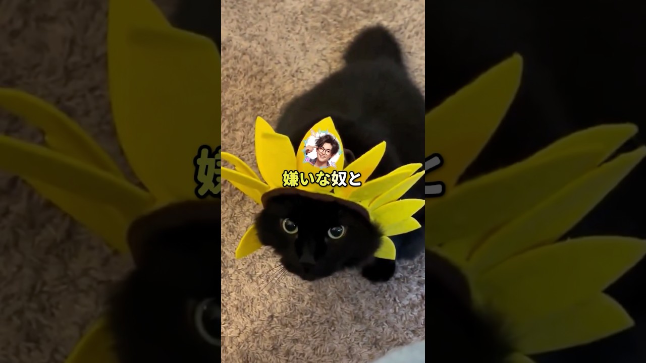 【ジョーク】大嫌いなヤツと出会ったら