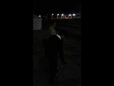 Joey Vendetta vs Daigman // Batallas usaquen - 1ra Ronda.