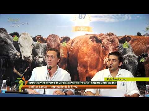 Remate 87° Aniversario Carlos J Lanser SA Coronel Moldes, Cba. (1° Parte)