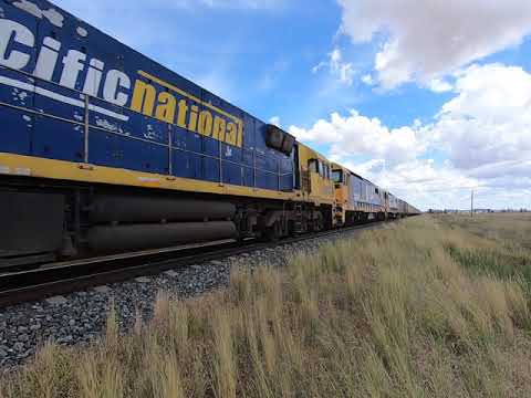 NR53, NR37, 8184 & 8146 at Back Creek NSW. Sat 13th Mar 2021