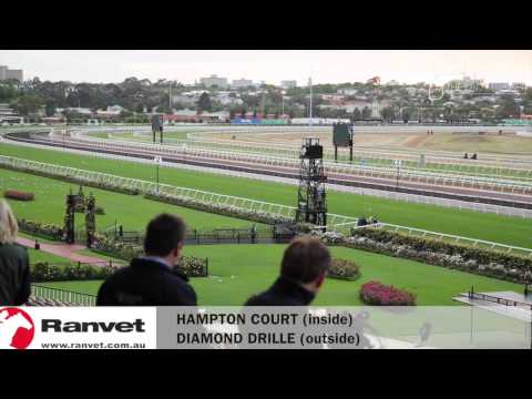 GaiTV powered by Ranvet - Derby Day 2014