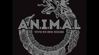 A.N.I.M.A.L. - Vivo en Red House (2016) (Full Album)