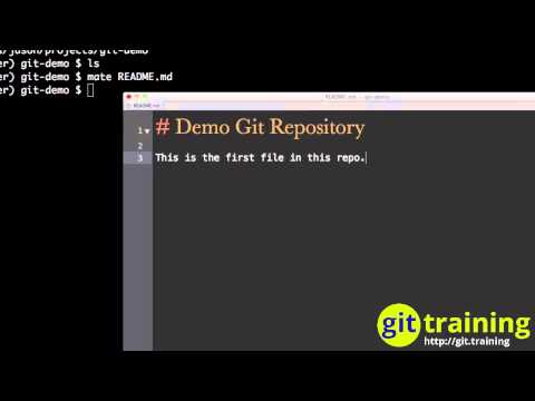The First Commit With Git