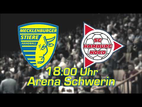 Die Mecklenburger Stiere empfangen die SG Hamburg Nord