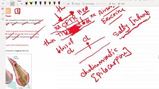 3  Pulmonology Part 3 for USMLE Step 2 CK - (Free trial course in Description Below)