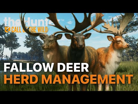FALLOW DEER Herd Management Guide | Great One Grind | the Hunter Call of the Wild