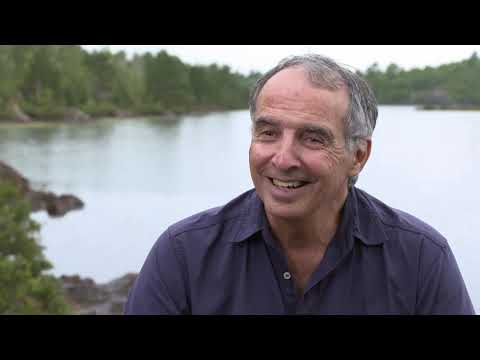 Secrets in the World's Largest Forest -  trailer