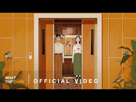 QLER - 30 cm [Official Visualizer]