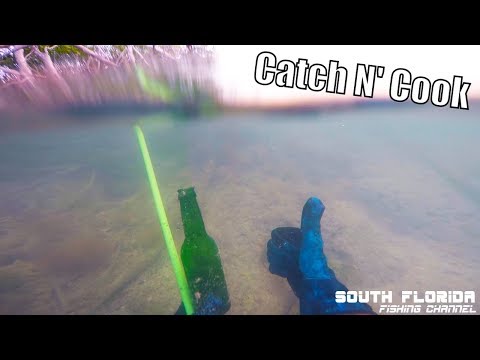 Fishing the Mangroves for Snapper and Lobster | catch n cook