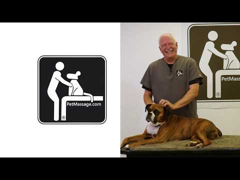 Lethargic Dog Massage
