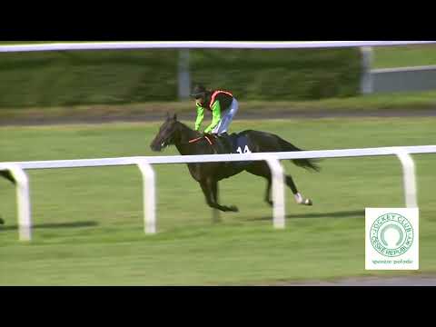 Dostihy Chuchle Arena Praha 16. 7. 2022 - 7. dostih - Cena Rock & Roll Bandu Marcela Woodmana