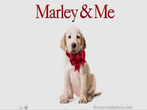 It all runs together- Marley and Me